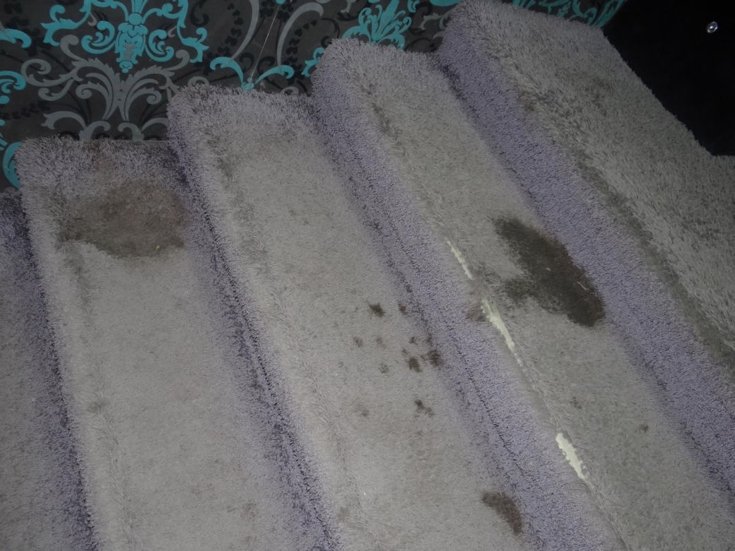 Dziennikarz zginął od jednego kopniaka. Przed śmiercią otrzymał w liście swój nekrolog. Umarł w klubowej toalecie