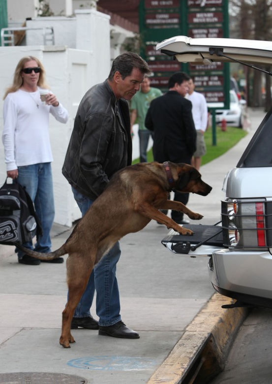 Pierce Brosnan