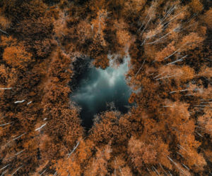 „Leśne Fotografie” rozstrzygnięte