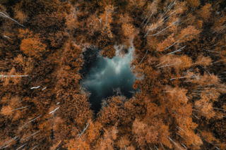 „Leśne Fotografie” rozstrzygnięte