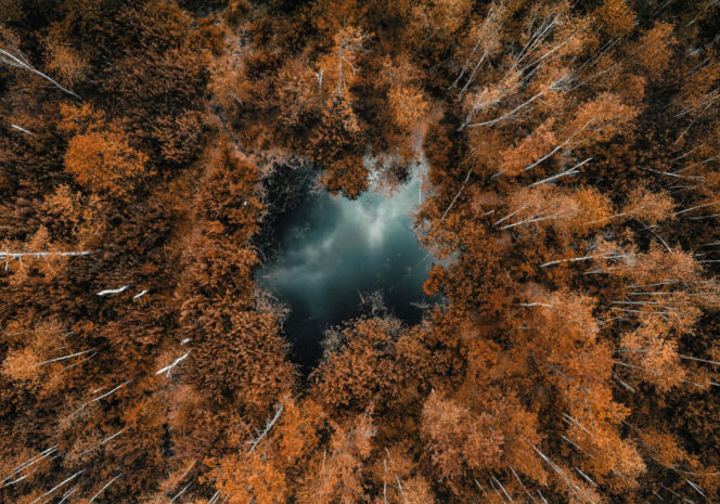 II Nagroda – Adrian Tarnowski z Lublina za fotografię „Oczko w lesie”,