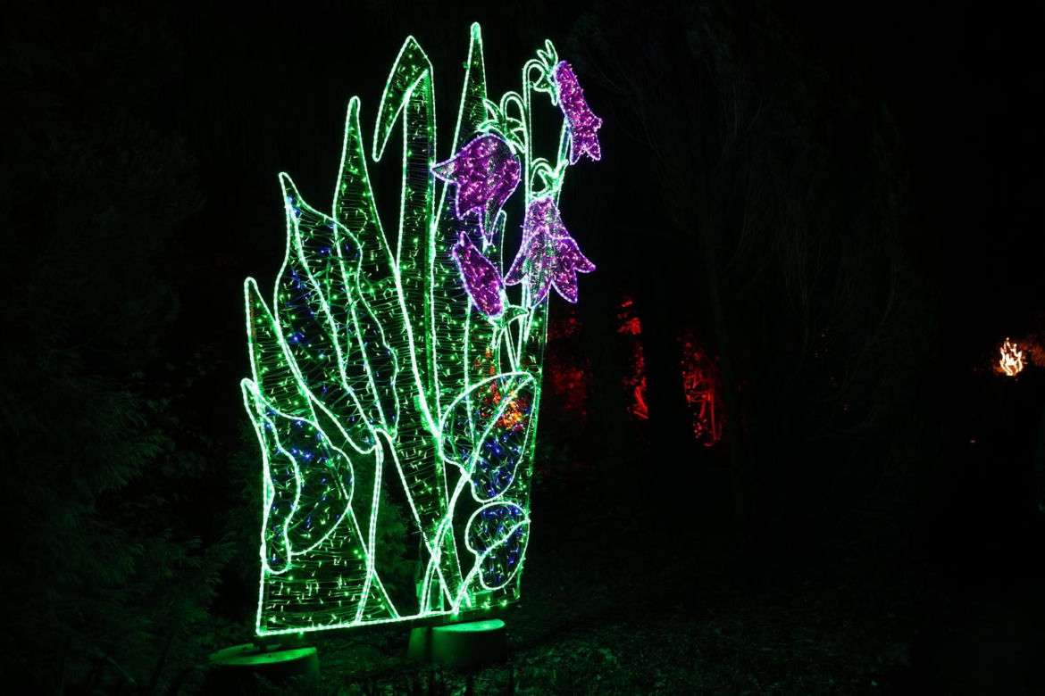 Park iluminacji 2023 w Lublinie