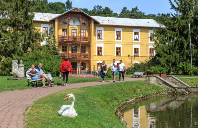 Kto podejmuje decyzję o przyznaniu sanatorium? 