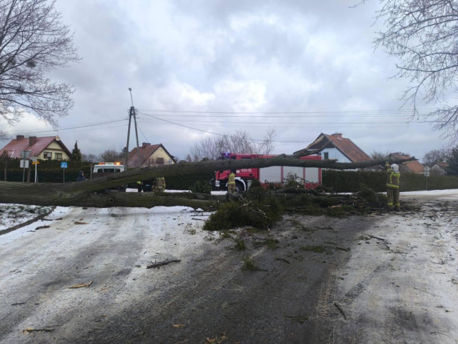 Wichura zniszczyła zabytkową kapliczkę przy sanktuarium