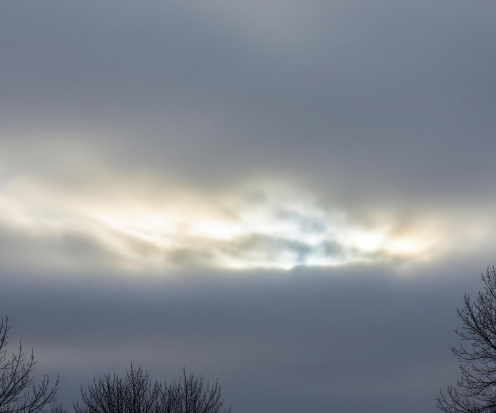 Pasmowy układ chmur dominuje górną część obrazu, z jaśniejszym, rozświetlonym centralnym pasmem w odcieniach białego i złotego, częściowo przebijającym się przez szaro-niebieskie, gęstsze chmury. W dole widoczne są czarne, bezlistne gałęzie drzew, zlokalizowane po lewej i prawej stronie kadru, z mniejszymi gałązkami ułożonymi centralnie, poniżej horyzontu. Całość tworzy widok zimowego lub wczesnowiosennego nieba, z drzewami w kontraście do jasnego nieba.