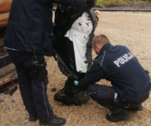 Porwali kucharza z zajazdu i zakopali go w lesie