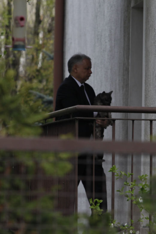 Kaczyński u Vegi czy Andrzej Grabowski z kotem
