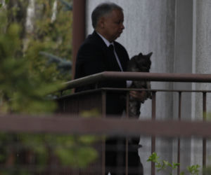 Kaczyński u Vegi czy Andrzej Grabowski z kotem