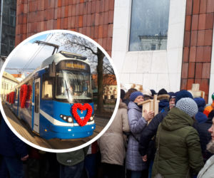 Specjalny tramwaj i... walka o budki lęgowe czyli krakowianie świętowali walentynki