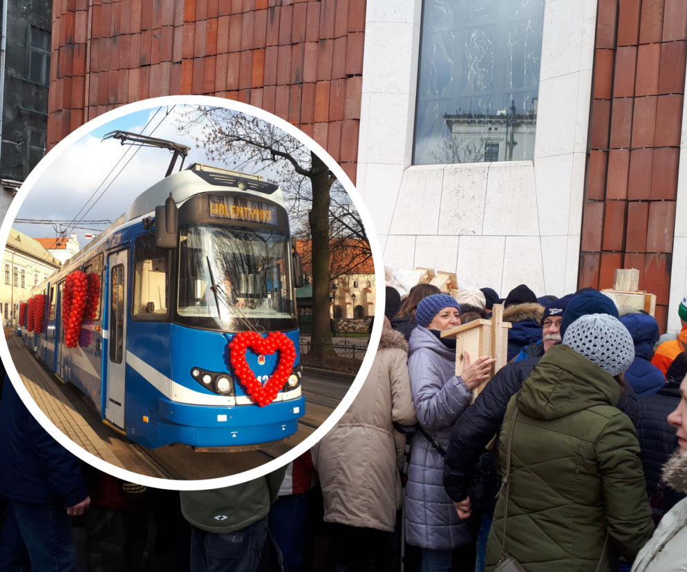Specjalny tramwaj i... walka o budki lęgowe czyli krakowianie świętowali walentynki