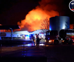 Pożar suszarni warzyw w Bramkach. Na miejscu 50 zastępów straży