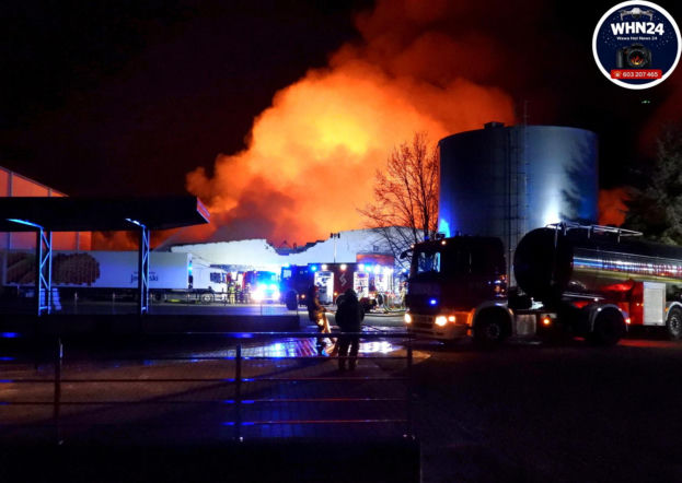 Pożar suszarni warzyw w Bramkach. Na miejscu 50 zastępów straży