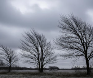 Dziś w Nowym Mieście Lubawskim zapowiada się ponuro. Czy grudzień nas jeszcze zaskoczy?