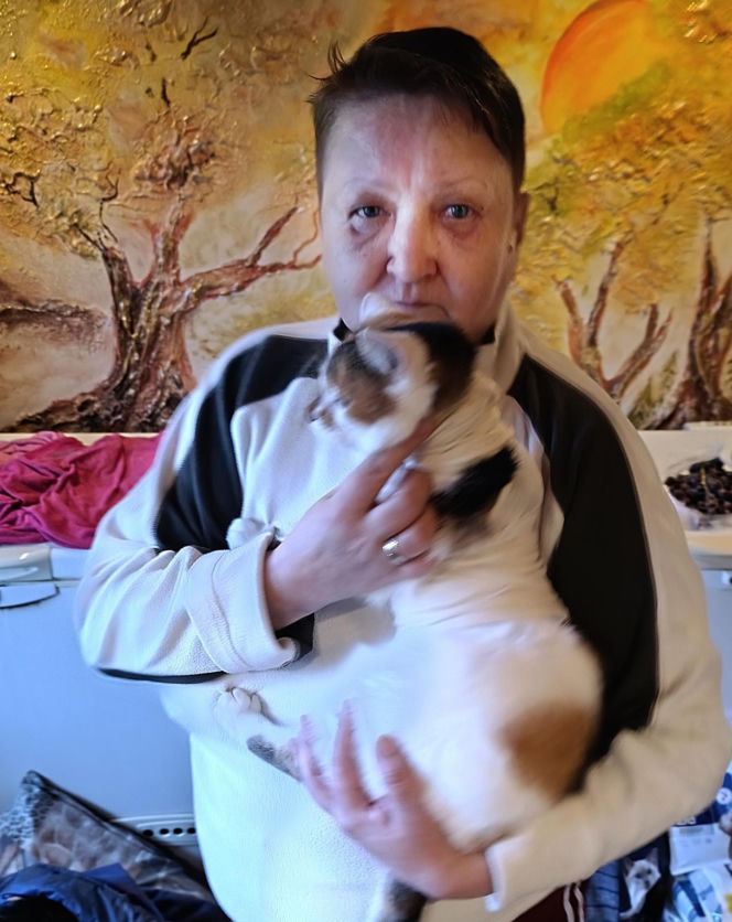 Watahy zdziczałych psów atakują wieś! "Rozrywają koty, rzuciły się na dziecko!