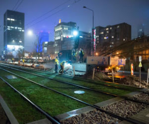 Znowu posadzili niemieckie drzewa w Warszawie. ZDM chwali się: „to zieleniarska NASA”