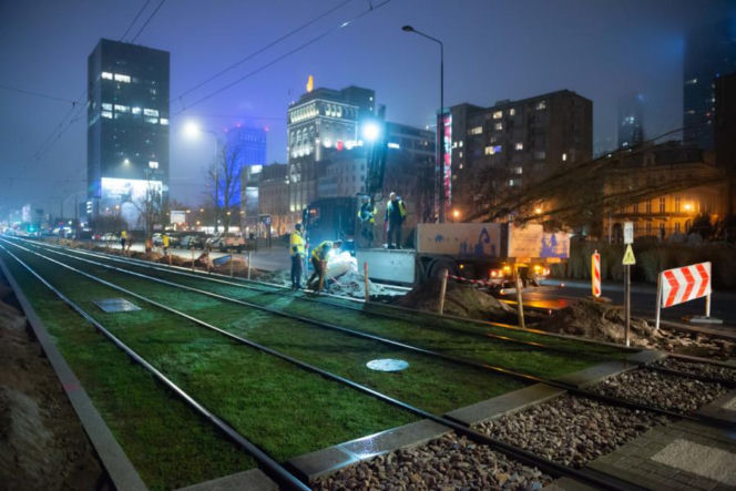 Znowu posadzili niemieckie drzewa w Warszawie. ZDM chwali się: „to zieleniarska NASA”