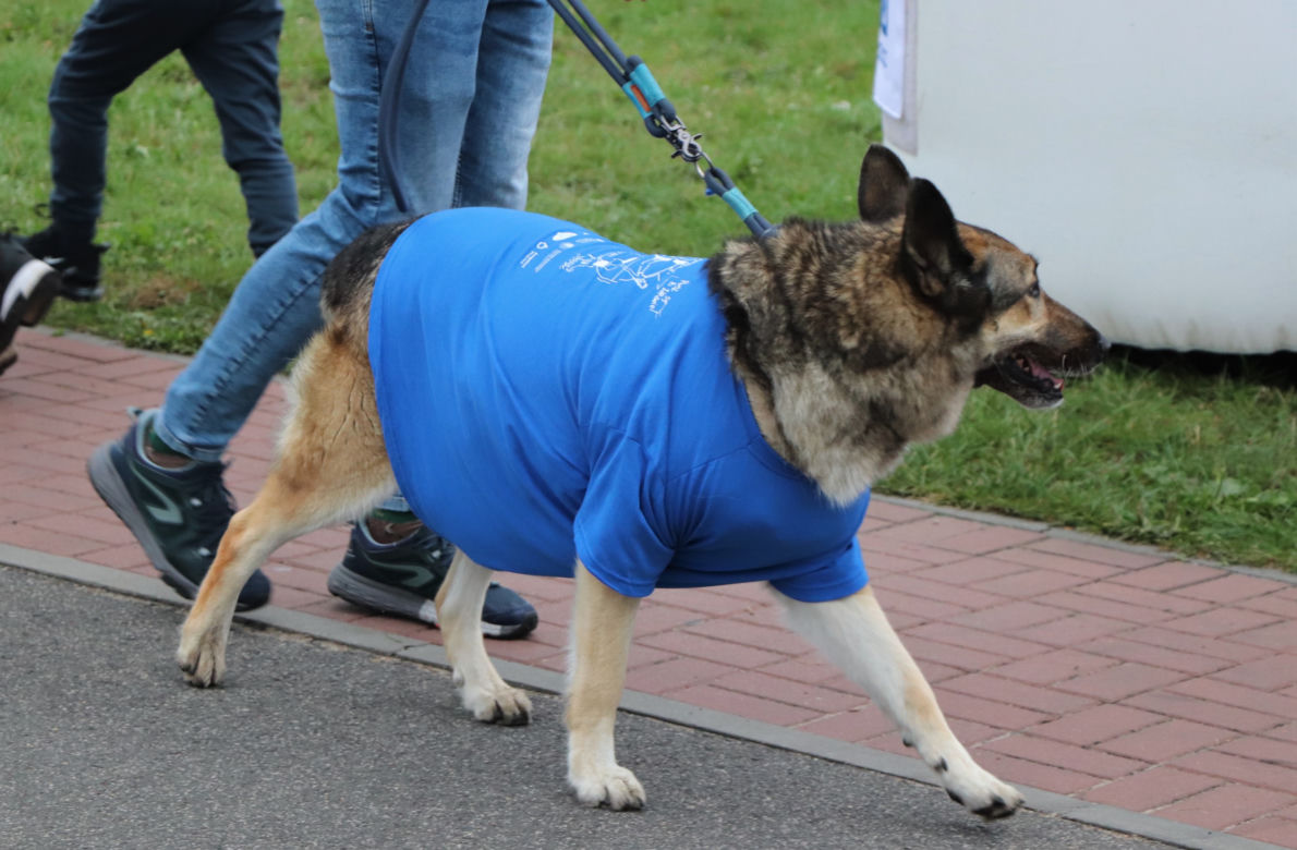 Walkathon NEUCA dla Zdrowia 2022