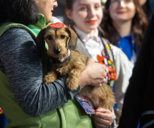 34. Finał WOŚP w Rzeszowie. Koncerty na Rynku, korowód i „Światełko do Nieba”