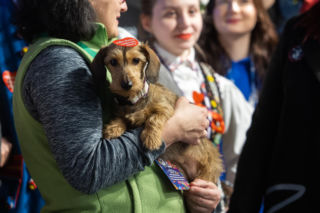 34. Finał WOŚP w Rzeszowie. Koncerty na Rynku, korowód i „Światełko do Nieba”