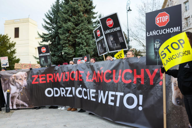 Wielki Marsz dla Zwierząt po wecie prezydenta