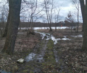 Nowy park powstanie na Gocławiu