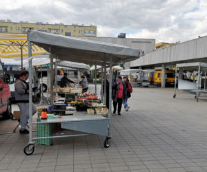  Drożyzna na bazarach. 60 zł za kilogram czereśni