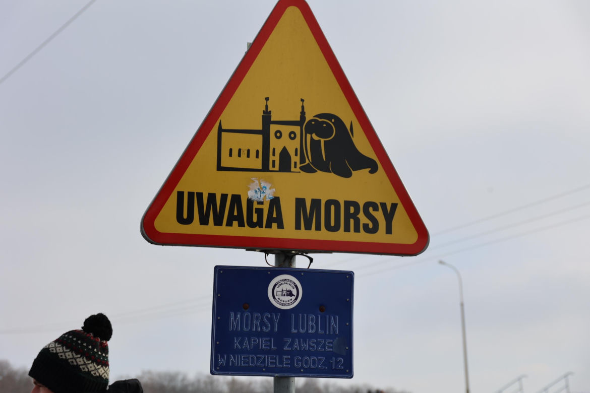 „Jak pies z kotem”. Morsowali dla zwierzaków ze Schroniska dla Bezdomnych Zwierząt w Lublinie