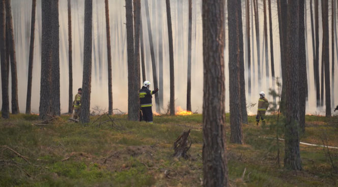 Spali dwie godziny, walczą z żywiołem bez wytchnienia. "To prawdziwe piekło"