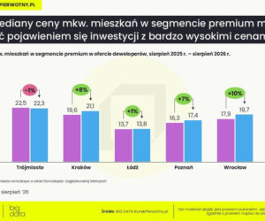 Rynek pierwotny coraz bardziej podzielony