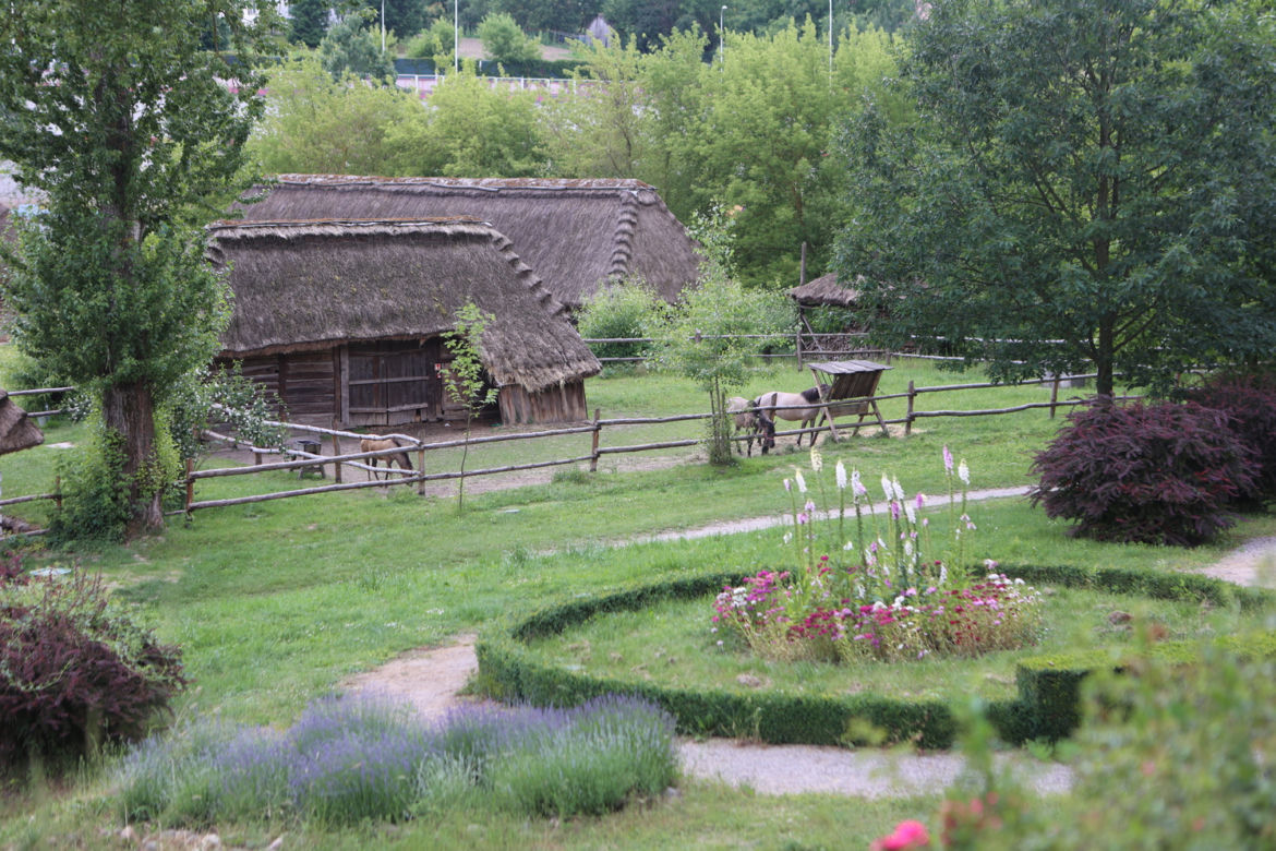 Skansen w Lublinie zachwyca w słoneczny letni dzień!