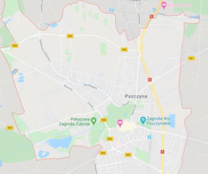 Koronawirus w Polsce: TE wesela okazały się ogniskami koronawirusa! [LISTA]