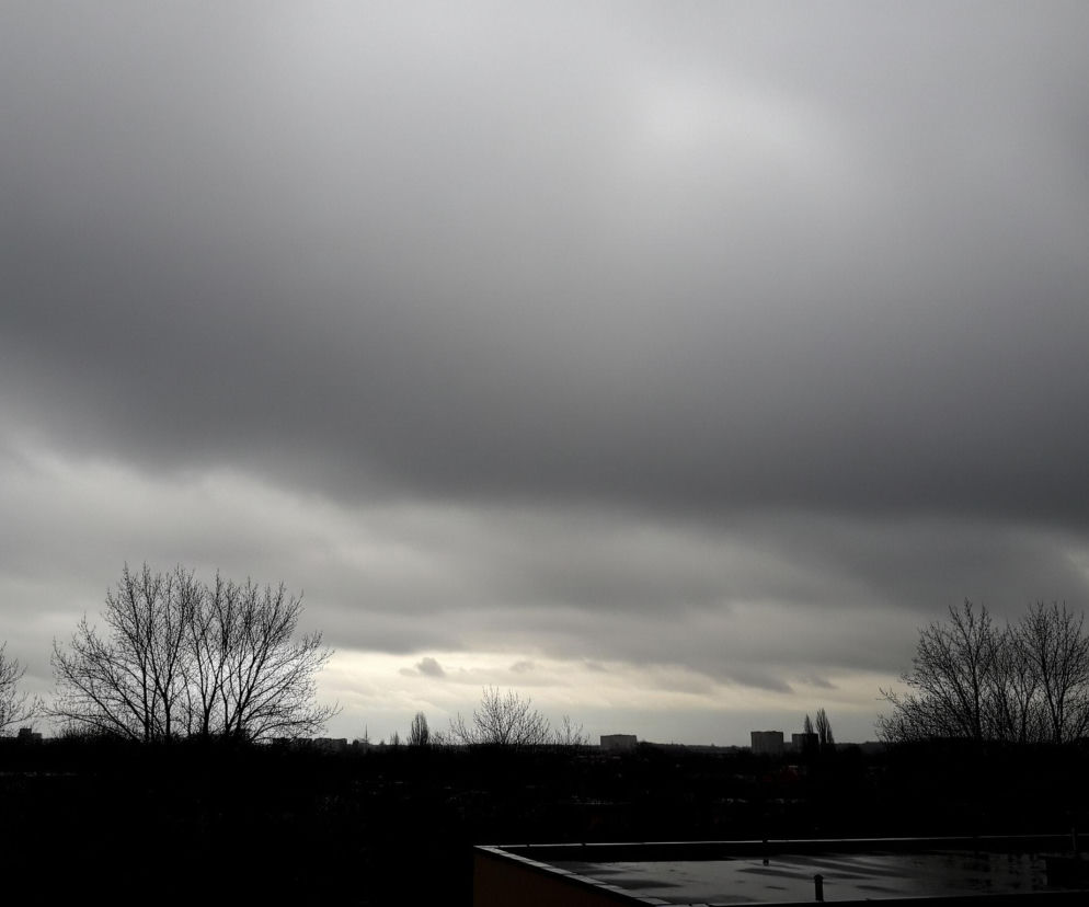 Dominują ciemne, szare i prawie czarne barwy, tworząc ponury krajobraz. Duża część kadru to zachmurzone, jednolicie szare niebo, z jaśniejszym pasmem u horyzontu. Poniżej rozciąga się ciemna, niemal czarna sylwetka horyzontu, na którym wyróżniają się bezlistne drzewa o rozłożystych koronach, a także ciemne kontury budynków i innych, smukłych drzew. W dolnym prawym rogu widoczny jest fragment ciemnego dachu lub tarasu.