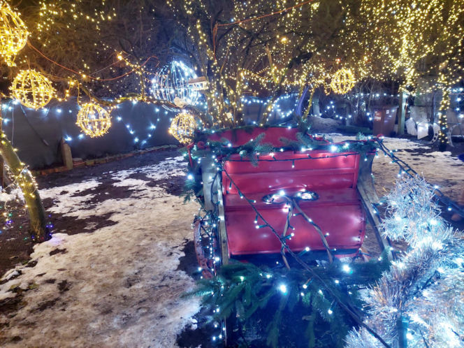 Dom bydgoskich Griswoldów znów rozbłysł. "Powieśiliśmy 300 tysięcy lampek. Przygotowywaliśmy jej od lipca!"