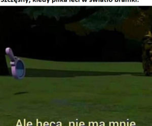 Memy po meczu Polska - Węgry