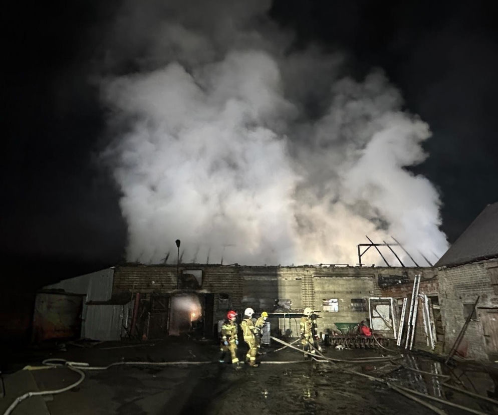 W pożarze padło około 20 byków