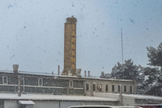 Bocian z Tarnowa nie odleciał na zimę. Zamieszkał na kominie