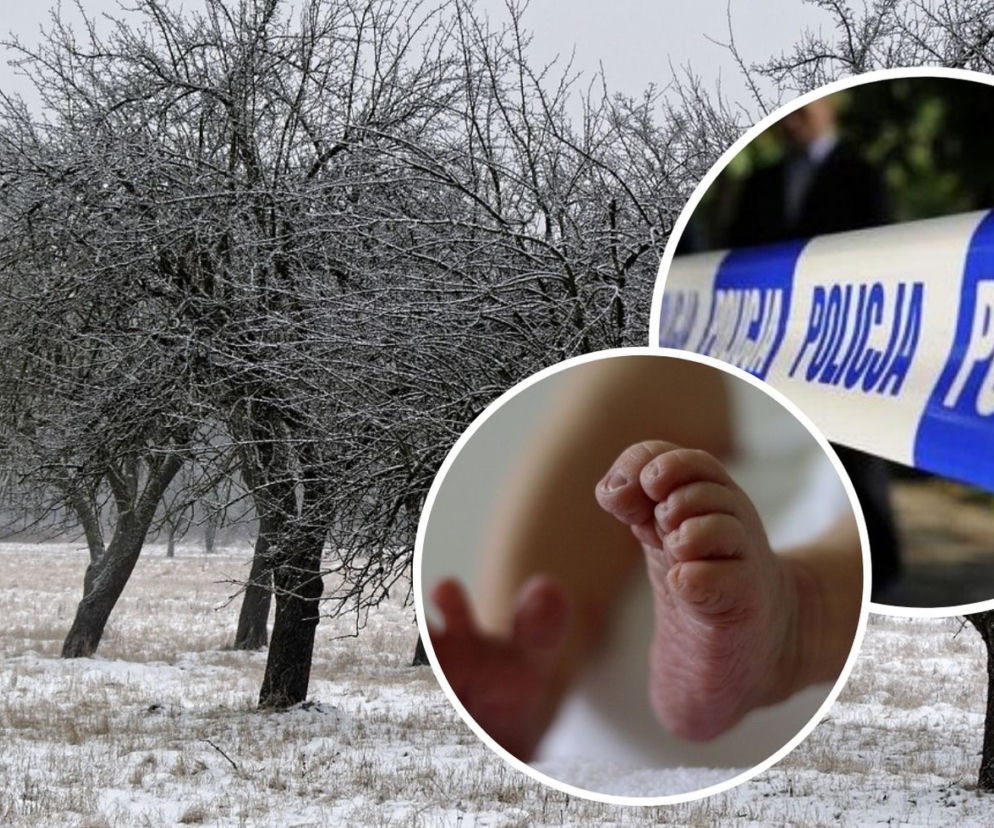Śmierć noworodka z Wełnina. Co mówi prokurator po sekcji zwłok?