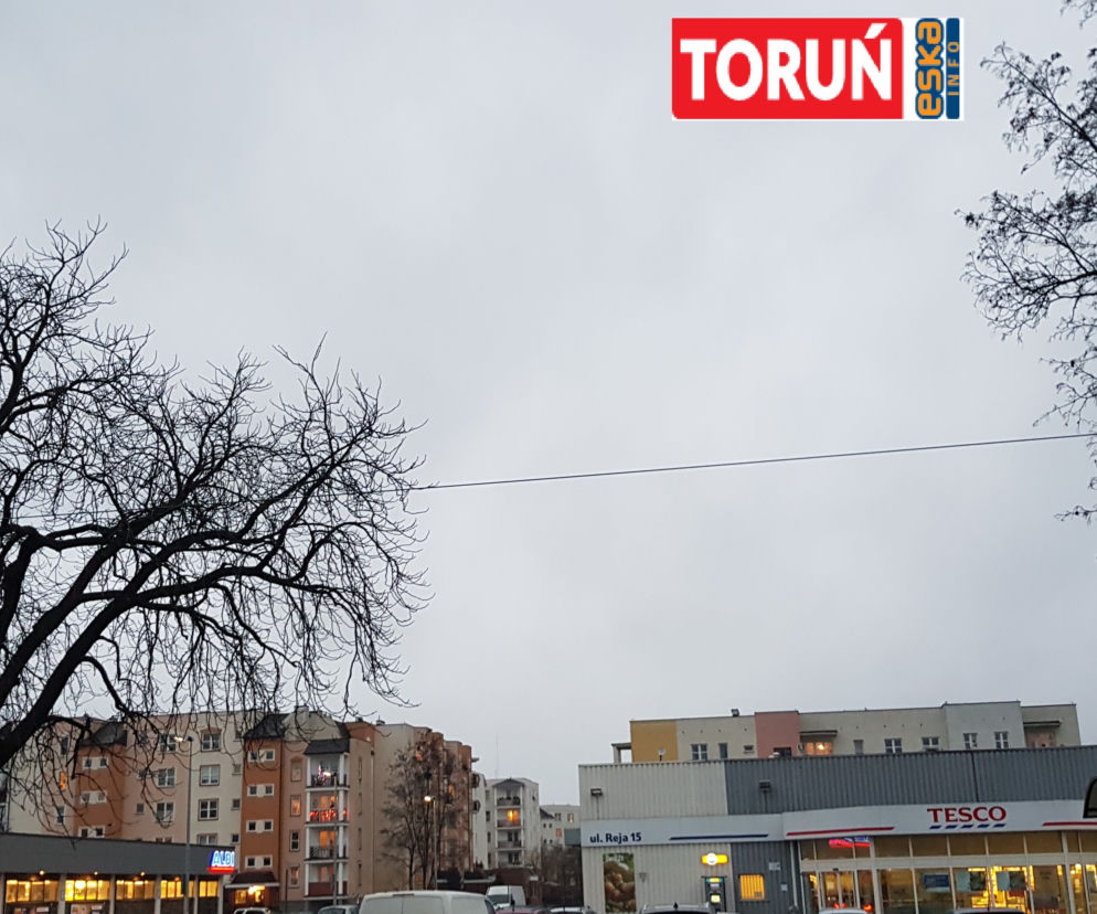 Majówka 2020 Toruń. Które sklepy będą otwarte 1 i 3 maja? [SKLEPY OTWARTE W MAJÓWKĘ TORUŃ]