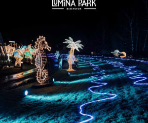 Lumina Park