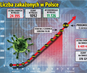 Koronawirus: Zobacz wykresy i prognozy – stan na 2.06 godz. 17.30