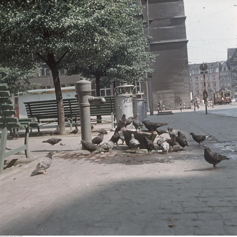 Wrocław w 1968 roku