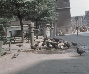 Wrocław w 1968 roku