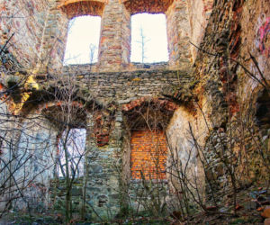 Ruiny Pałacu w Podzamczu Piekoszowskim