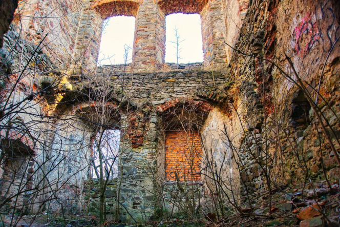 Ruiny Pałacu w Podzamczu Piekoszowskim