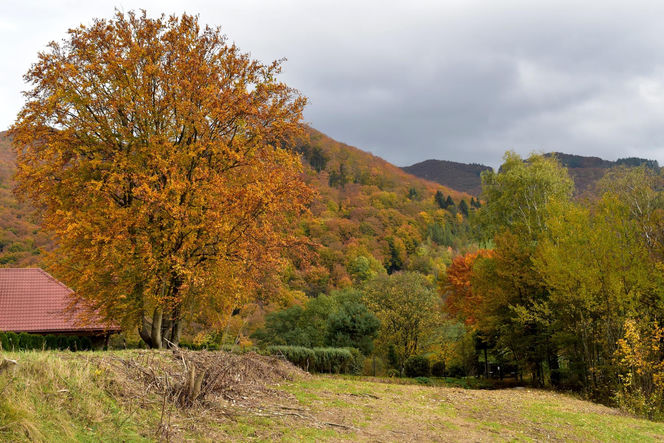 Małopolska wieś, która zachwyciła filmowców. Jesienią można poczuć się jak na planie