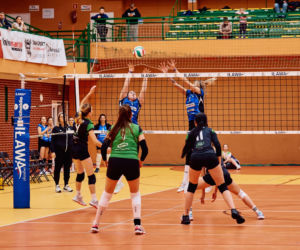 Miss VOlley - Arka Susz Volley