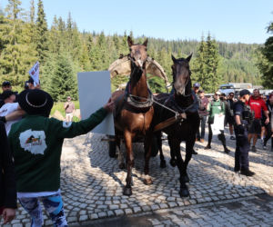 Protesty przeciwko konnemu transportowi nad Morskim Okiem