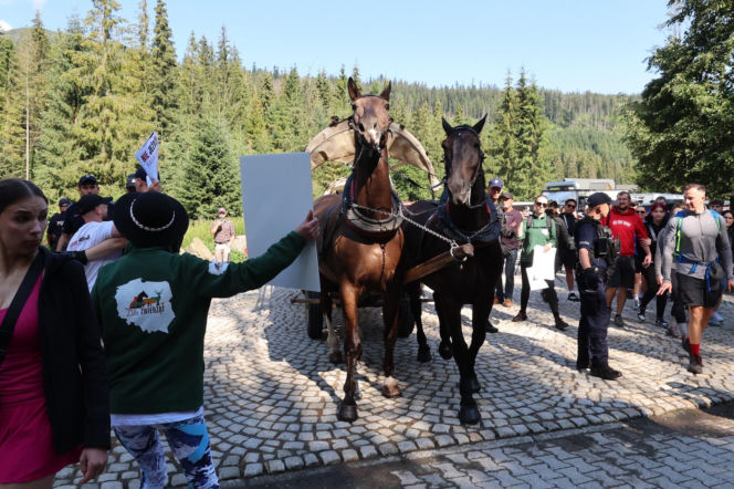 Protesty przeciwko konnemu transportowi nad Morskim Okiem