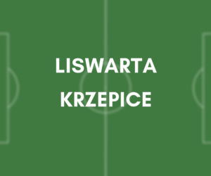 Liswarta Krzepice