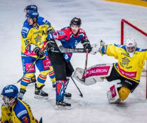 Tauron Podhale Nowy Targ – KH Energa Toruń 5:2, zdjęcia z Nowego Targu
